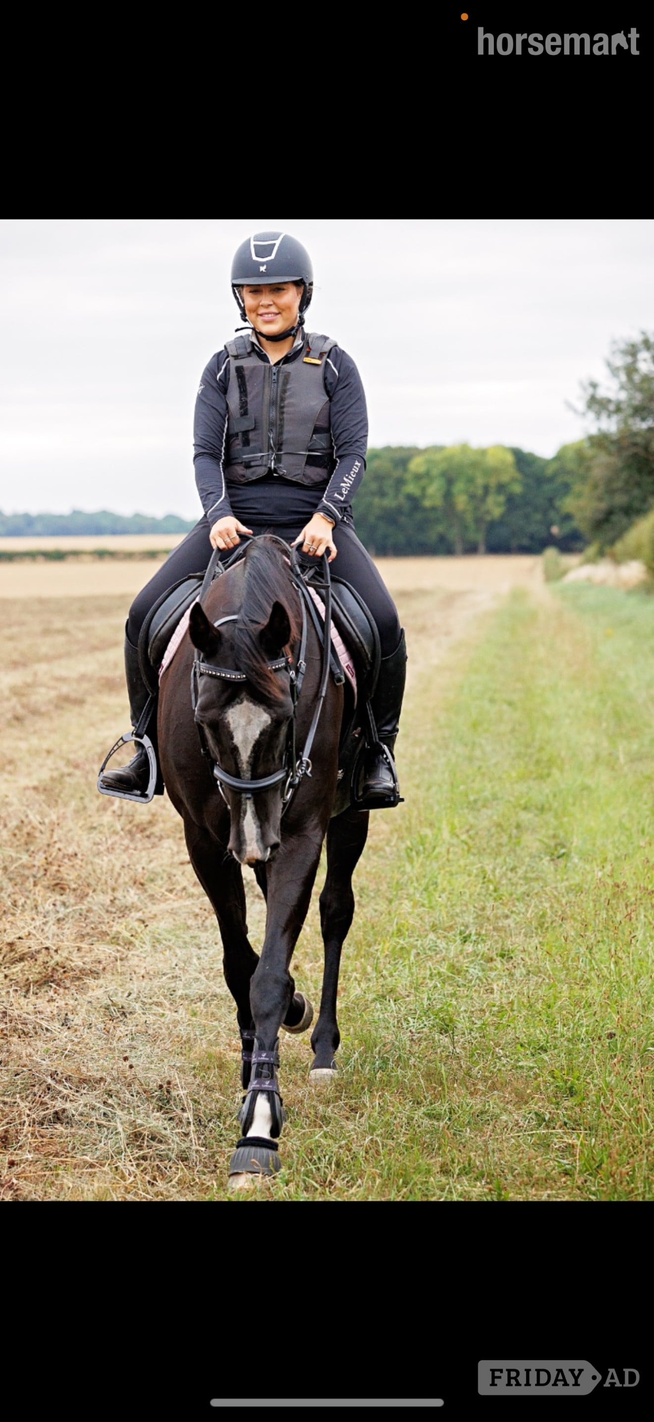Gainsborough "Dorris" Black Mare All Rounder