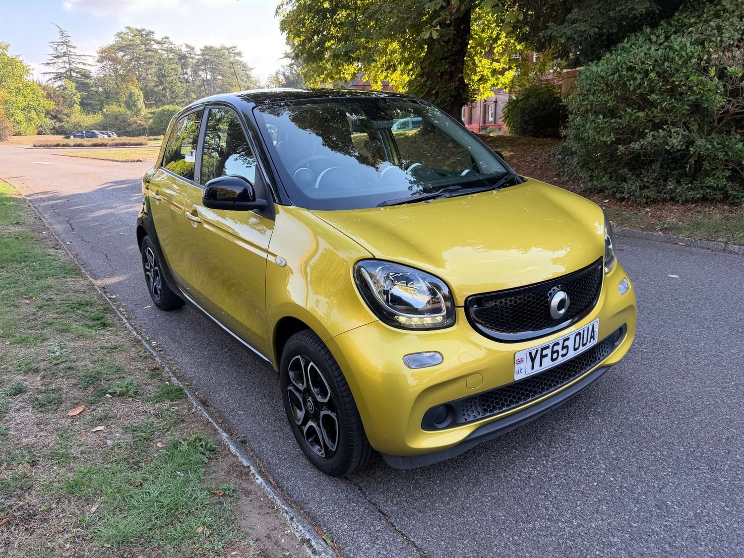 Smart ForFour Leatherhead