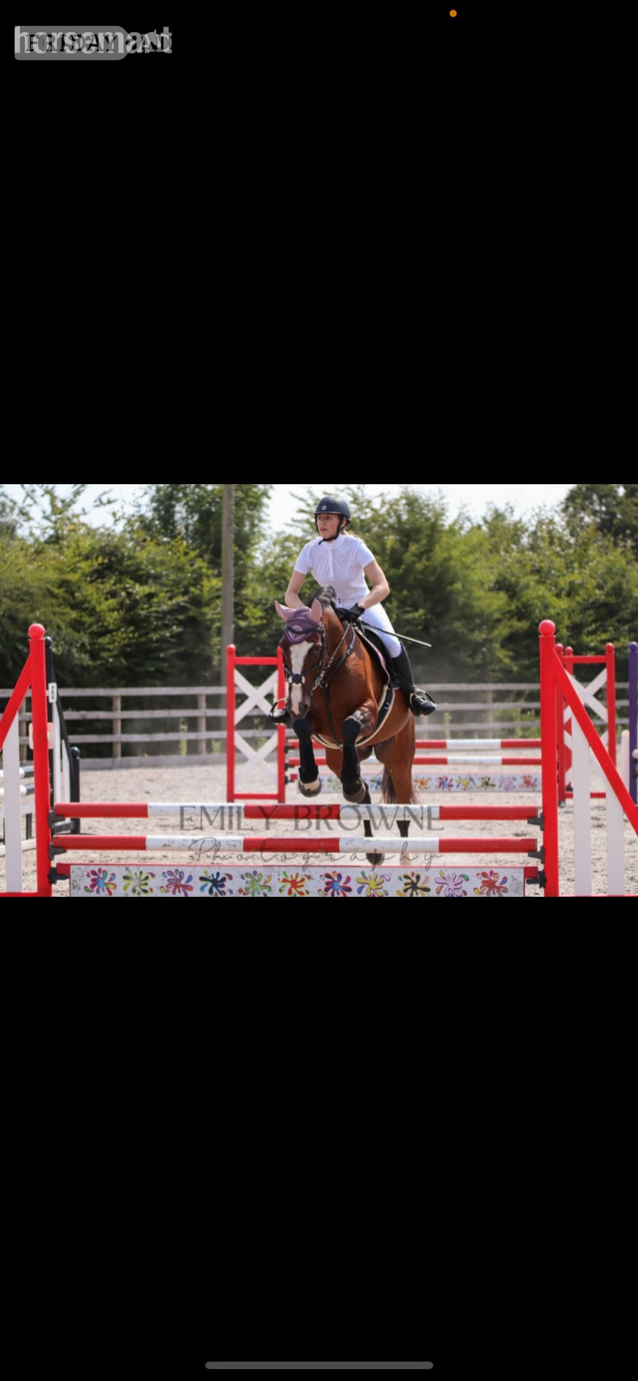 15.2 Sports horse for full or part loan  - Horses