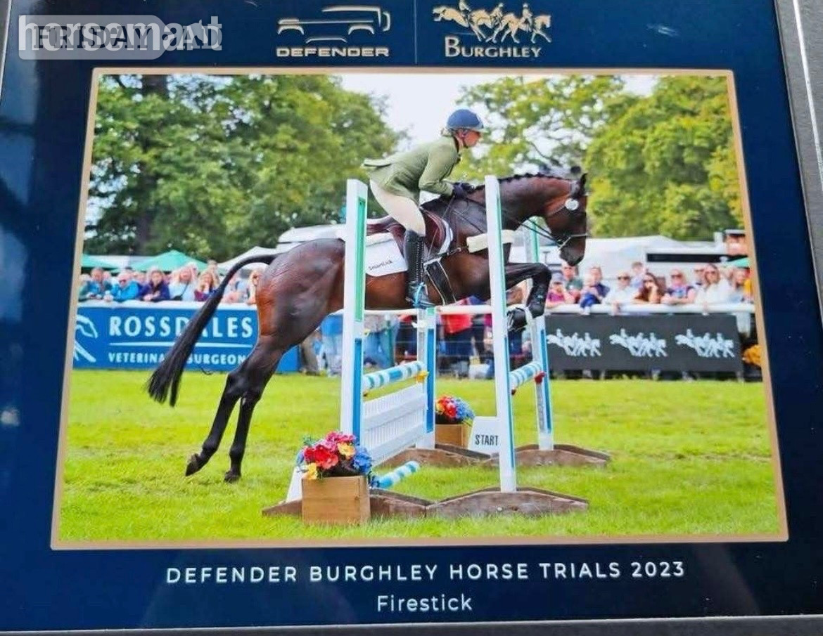 Richmond "Petal "  Mare Young Sport Horse