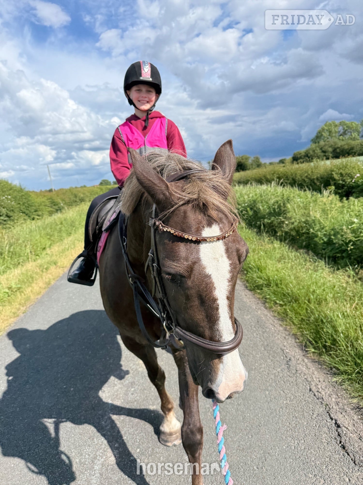 "Izzy" Chestnut Mare Happy Hacker