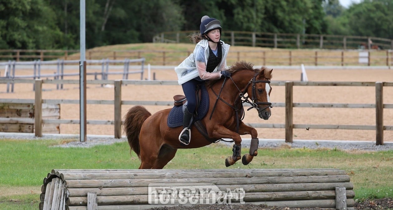 Widnes "Cracker" Chestnut Gelding All Rounder