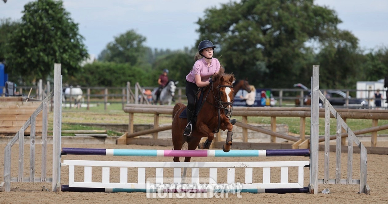 "Cracker" Chestnut Gelding All Rounder - Horses in Widnes
