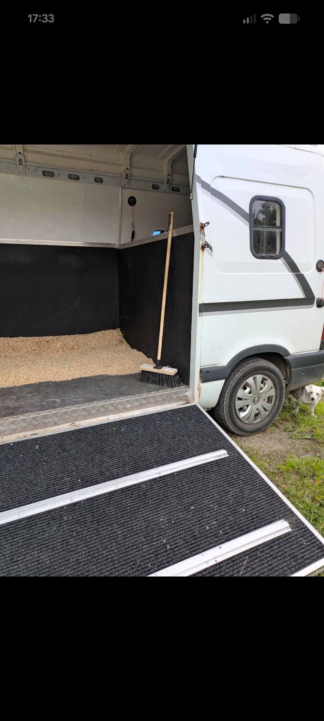 Burley Horseboxes  Renault Trucks Horsebox - Trailers & Horseboxes in Chippenham