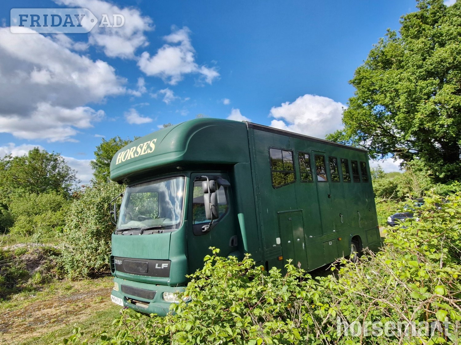 RJ Horseboxes none Daf Trucks Horsebox in Devizes