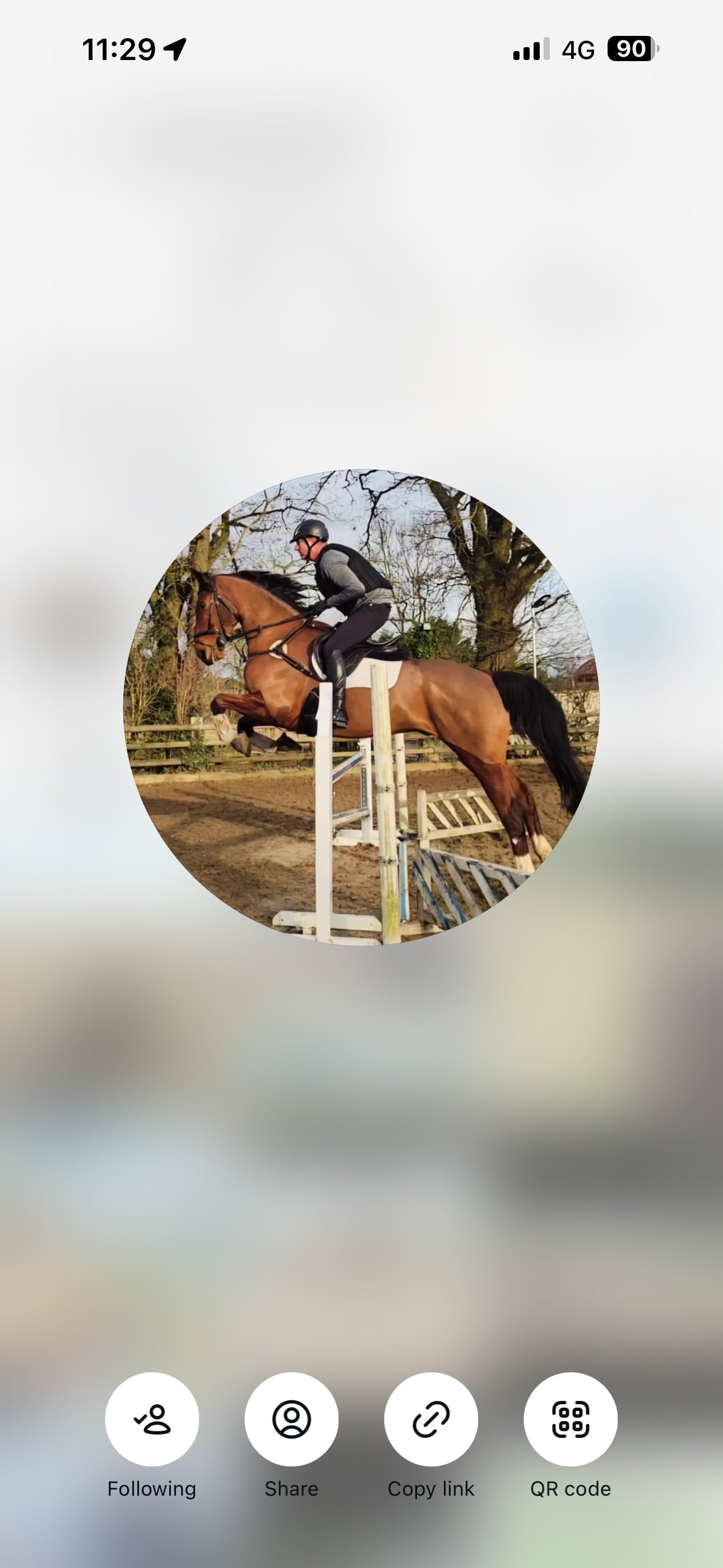 "Hugo (Huge Goes There)" Bay Gelding All Rounder