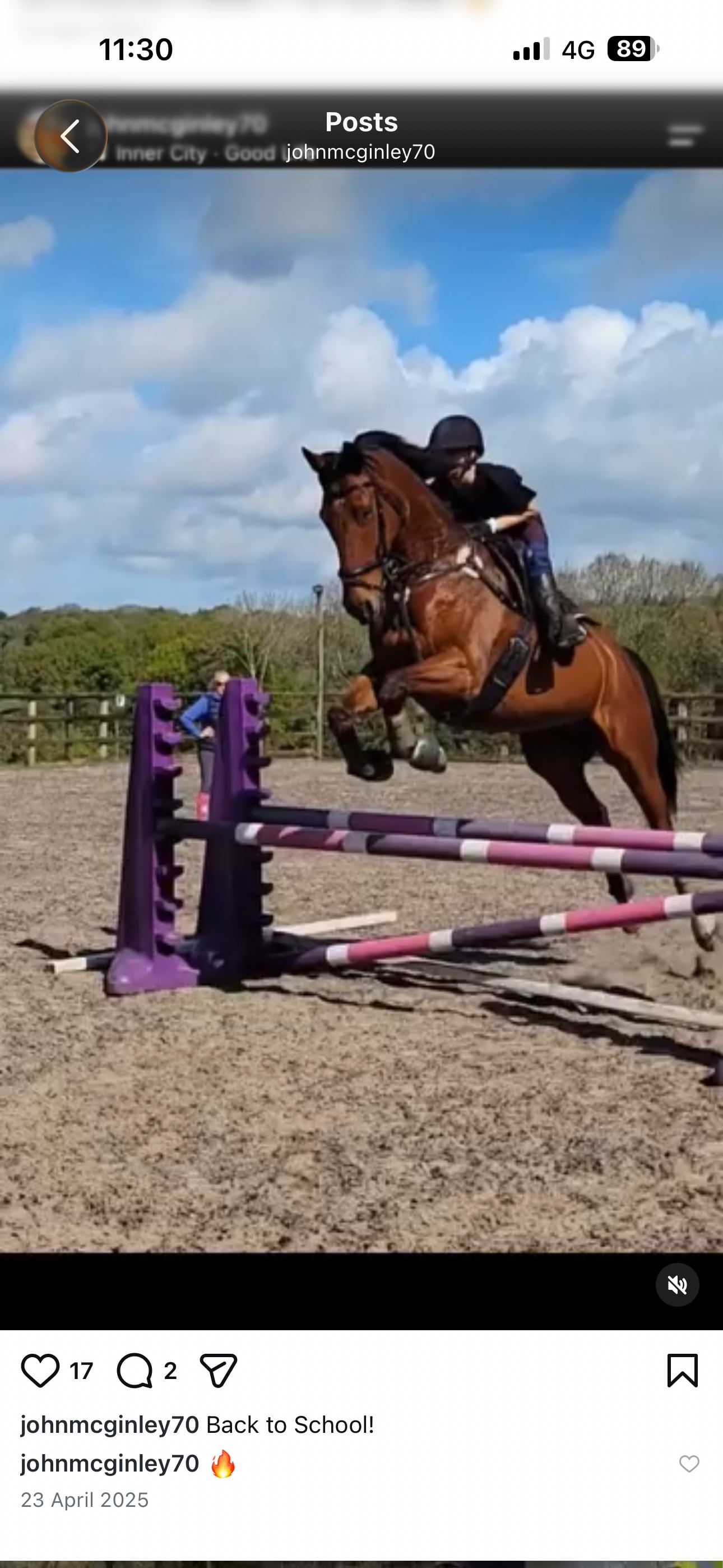 Barley "Hugo (Huge Goes There)" Bay Gelding All Rounder