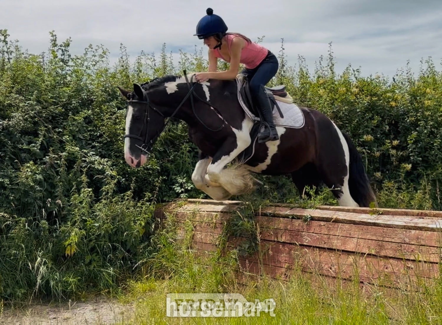 "Banjo: beginner-safe, mellow, ‘kick ride’" Tobiano Gelding Happy Hacker - Horses in Raheen