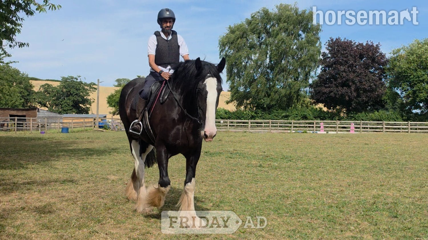 Ross-On-Wye "COWERSLANE Melodie" Black Mare Cob/Heavy Horse