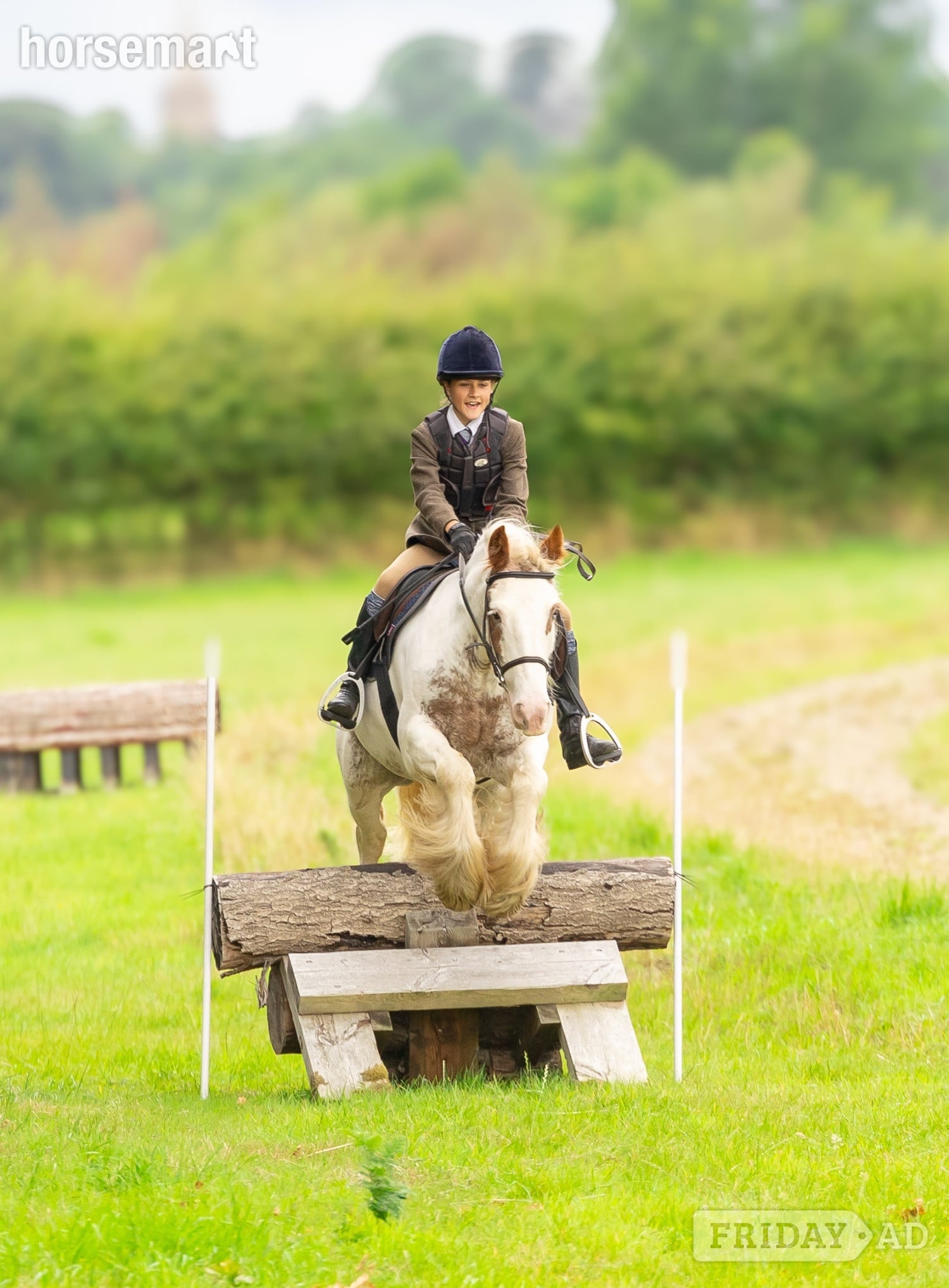 "Chalky  " Skewbald Gelding All Rounder in Otley