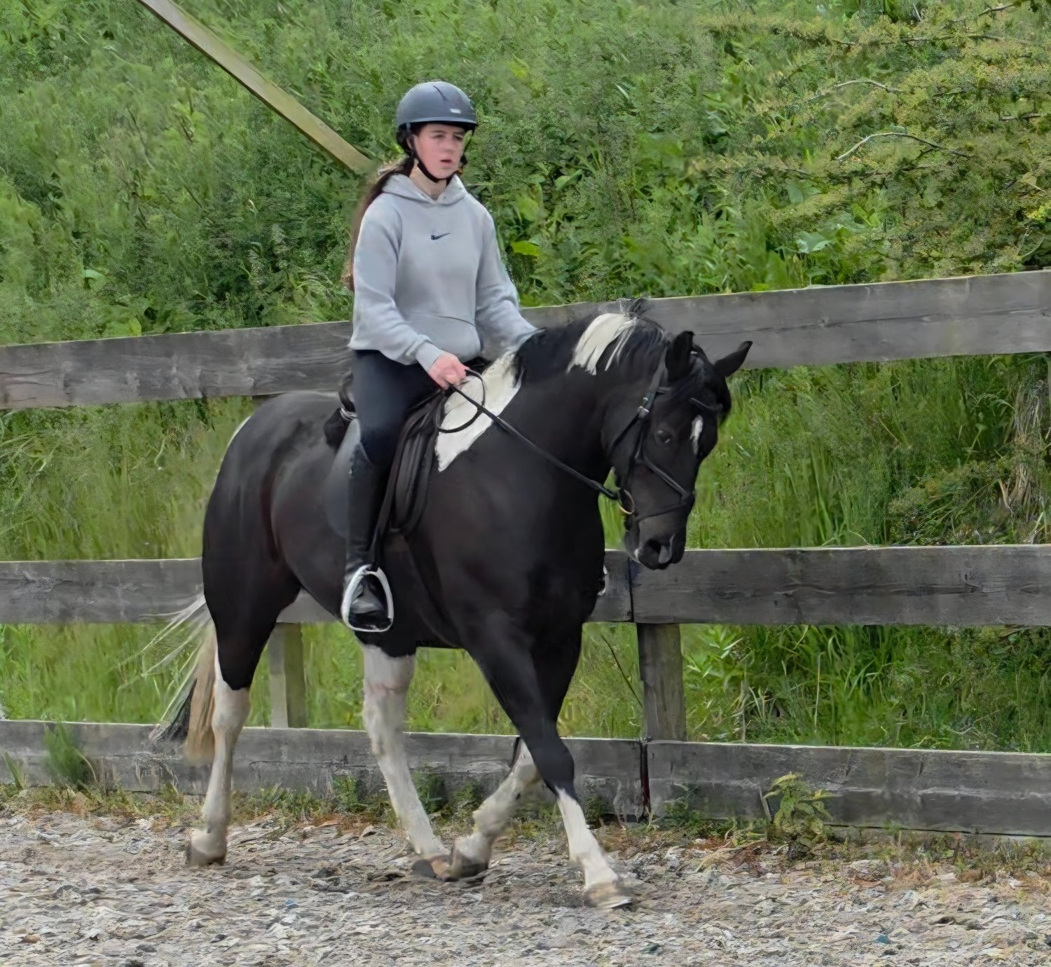 "Willow" Piebald Mare All Rounder