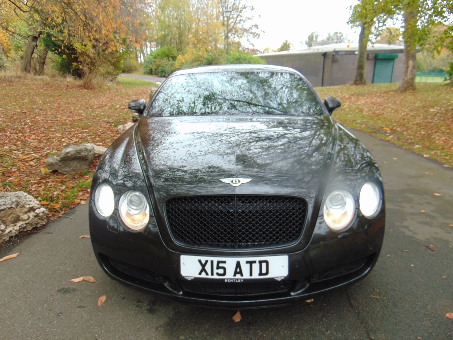 Bentley Continental 2006 - Cars