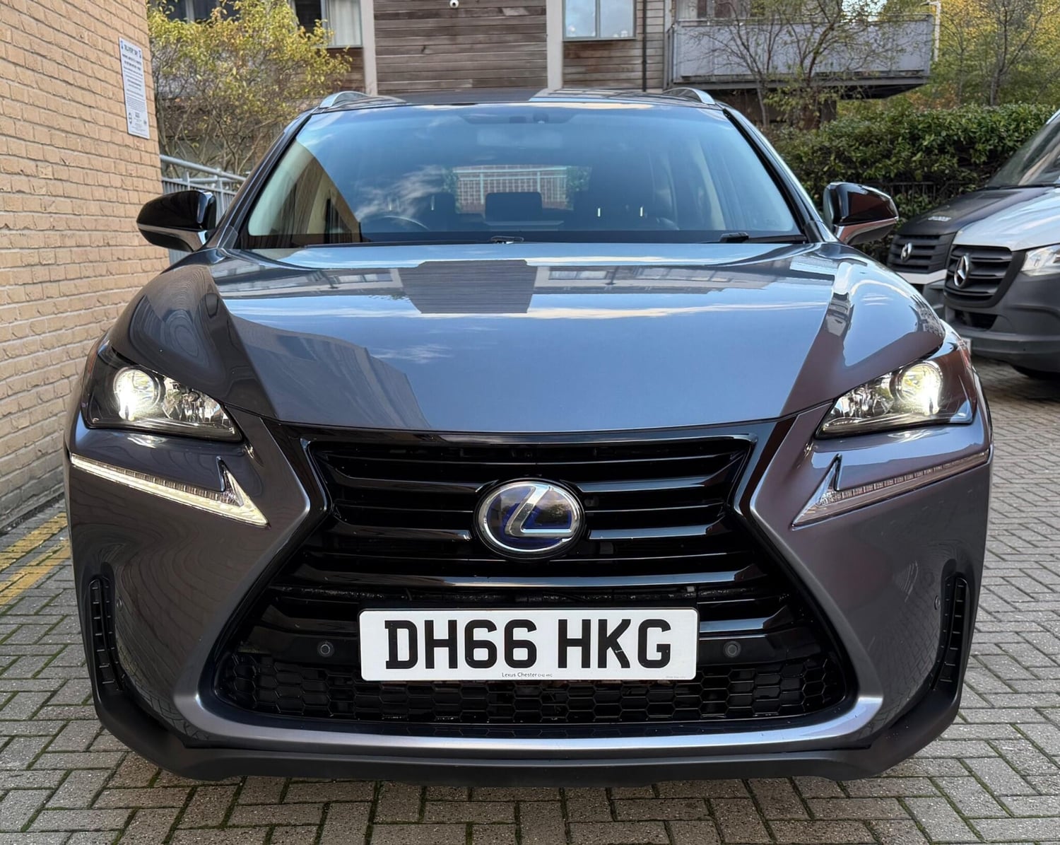 Lexus NX Brent