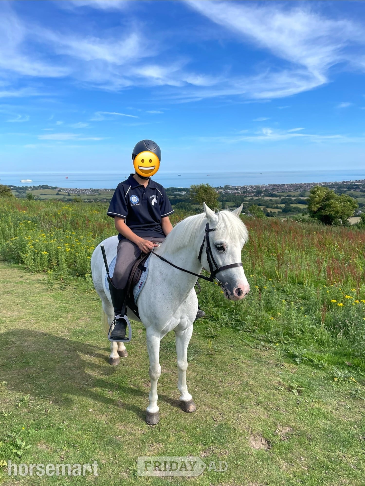 Southsea "Springbourne Ciara" Grey Mare All Rounder