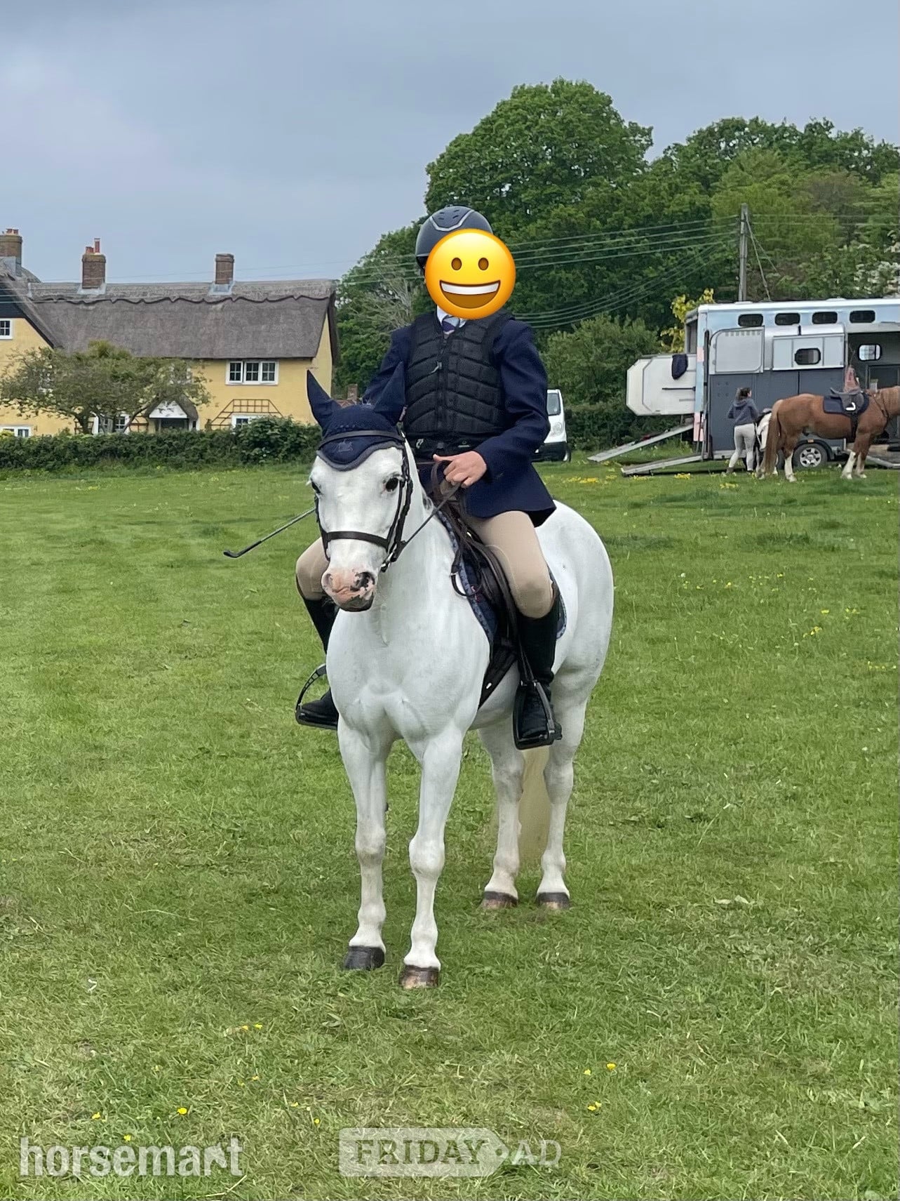 "Springbourne Ciara" Grey Mare All Rounder - Horses