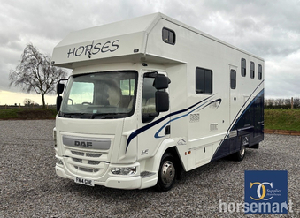 Solitaire  DAF Horsebox
