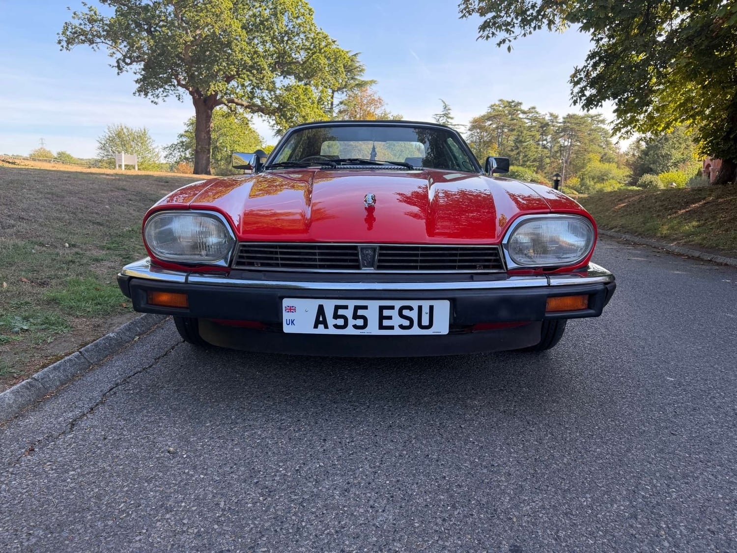 [ berth ]Jaguar XJS