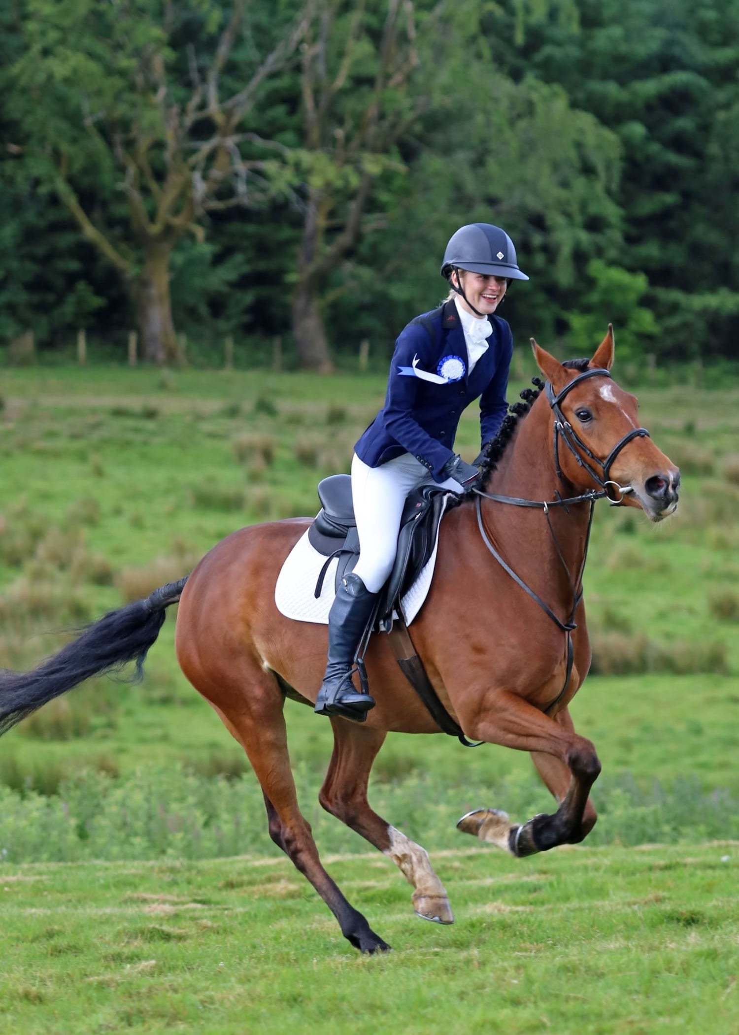 "Lara " Bay Mare Young Sport Horse