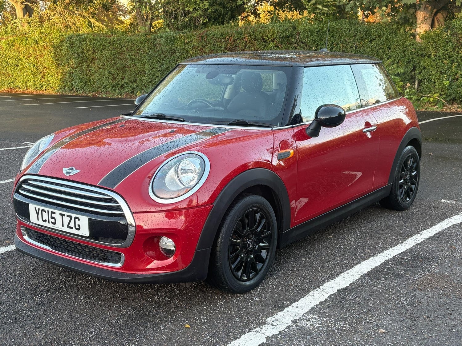 [ berth ]Mini Hatch