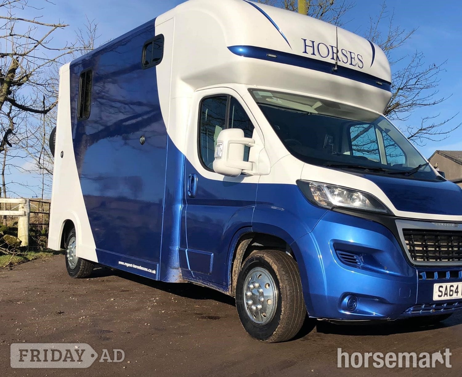 Regent 3.5t Duo Peugeot Horsebox in Manchester