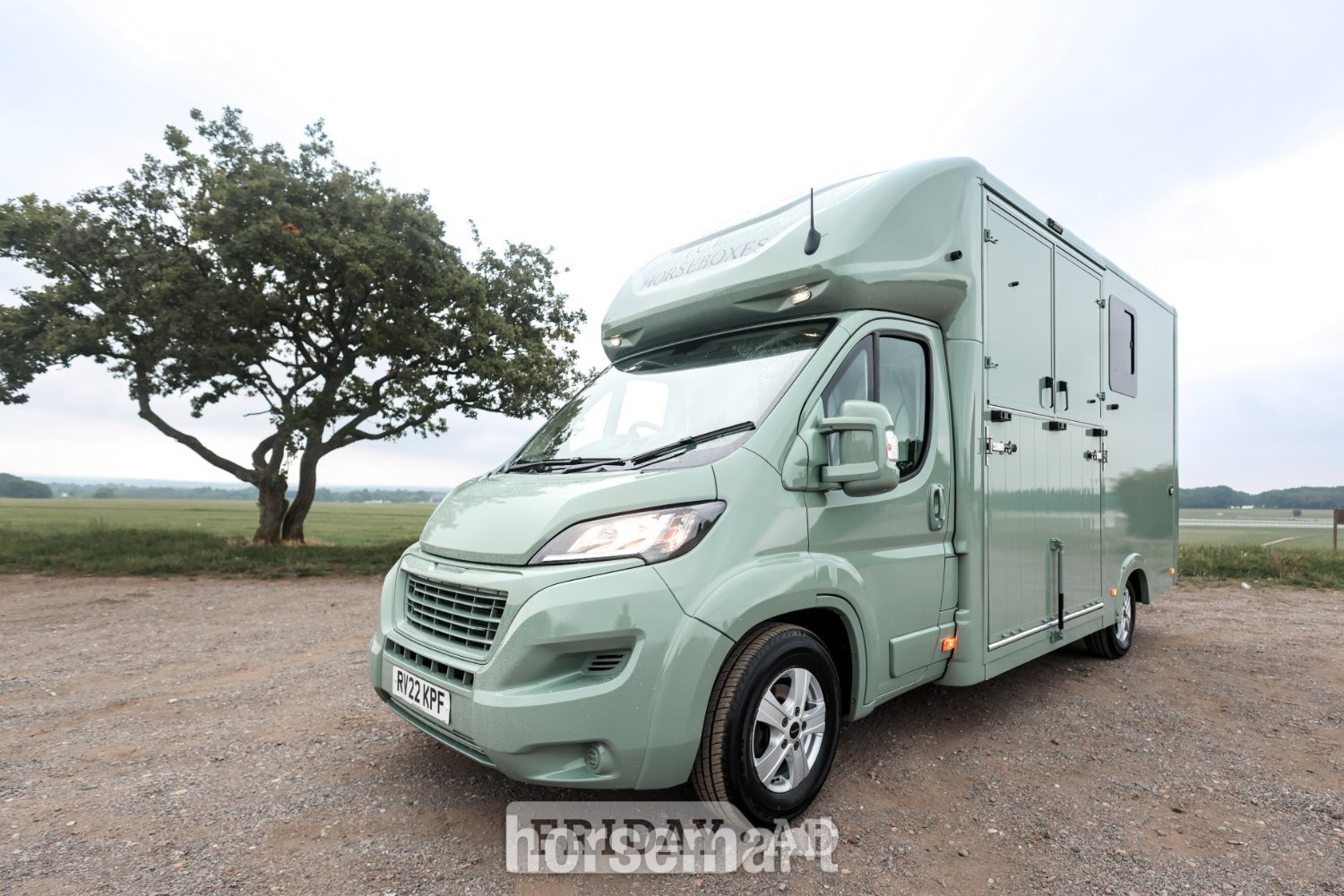 I.C.E Stallion Peugeot Horsebox - Trailers & Horseboxes in Carshalton