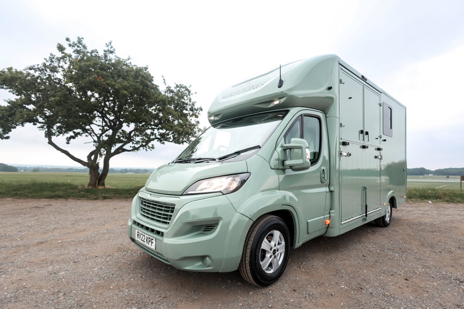 I.C.E Stallion Peugeot Horsebox - Trailers & Horseboxes in Carshalton