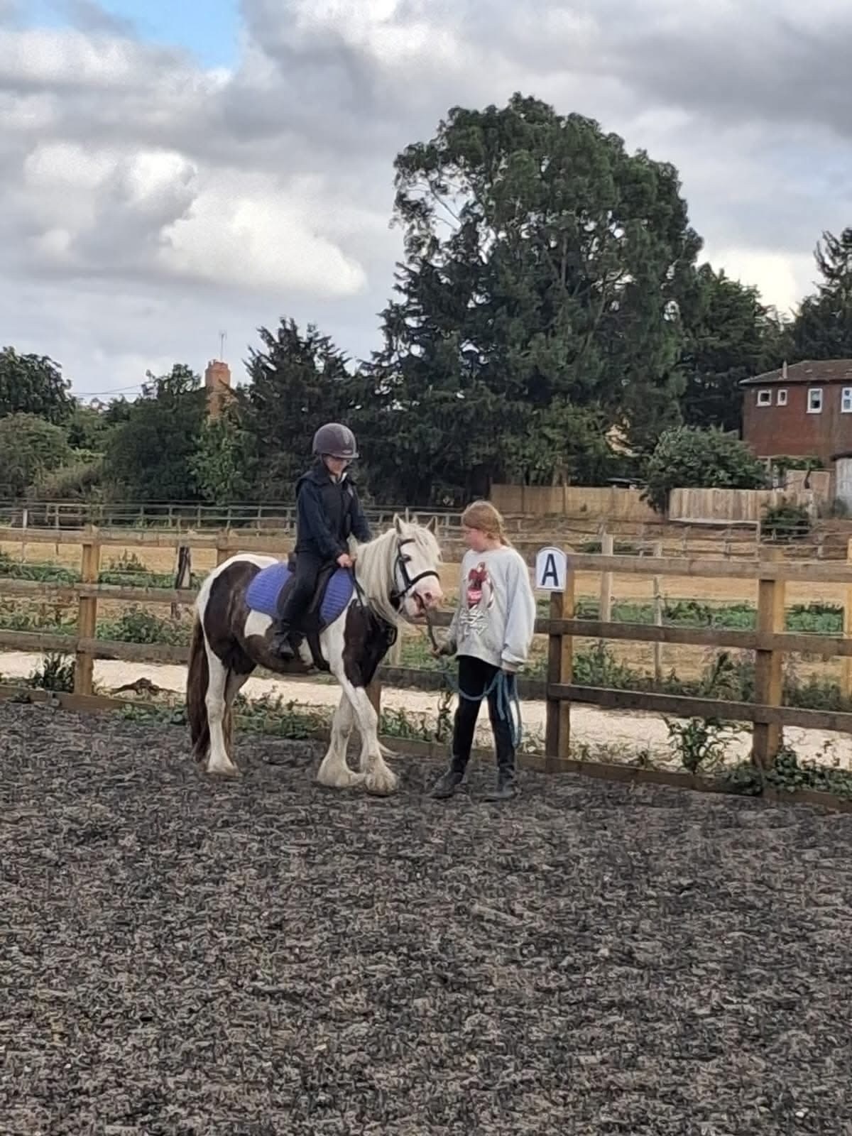 "Billy"  Gelding Lead Rein/First Ridden Pony