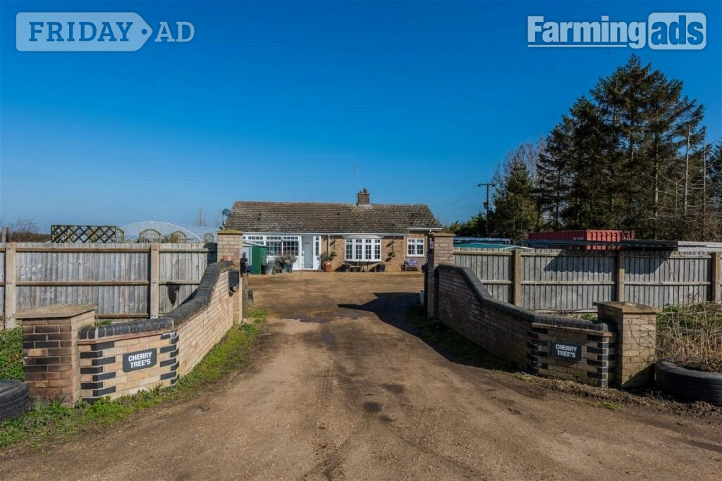 3 bed detached Bungalow in 2acre plot for rent agricultral tie in Willingham
