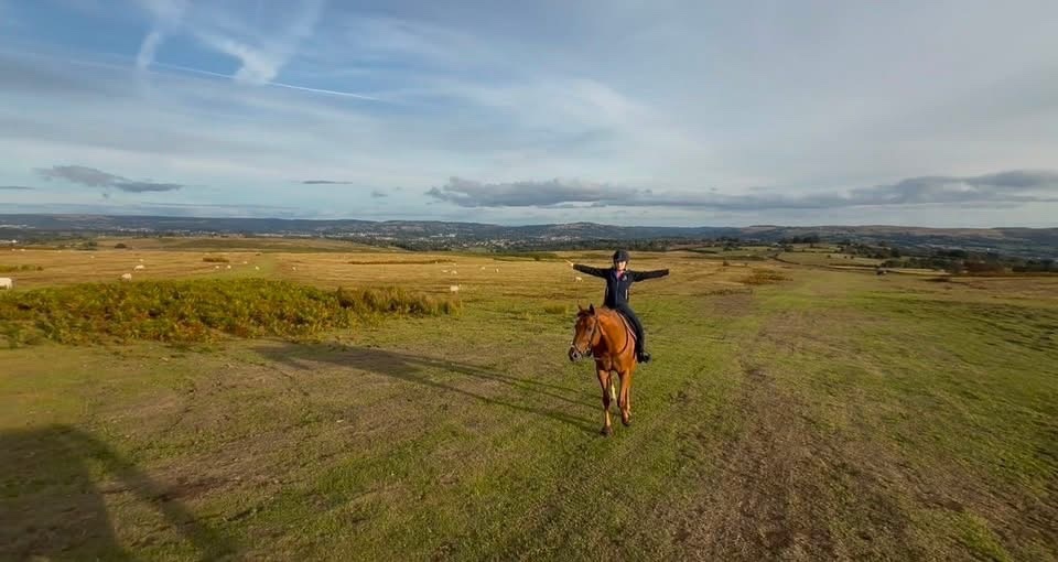 "Posh " Chestnut Mare All Rounder - Horses in Gelligaer