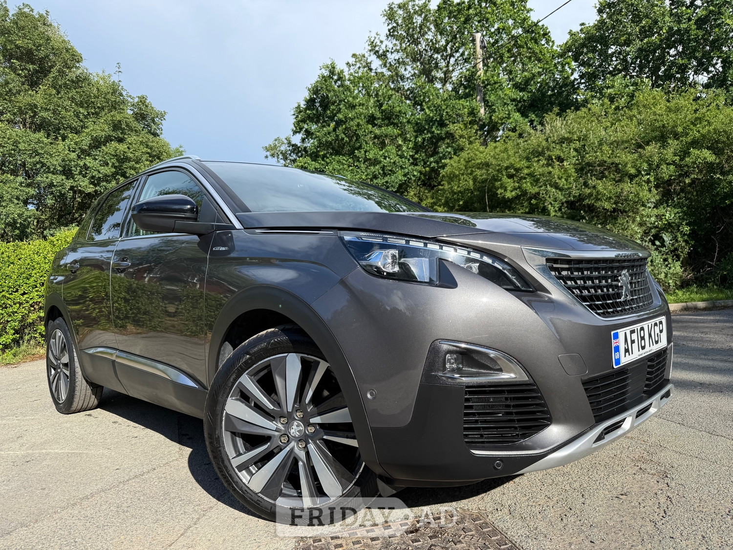 [ berth ]Peugeot 3008
