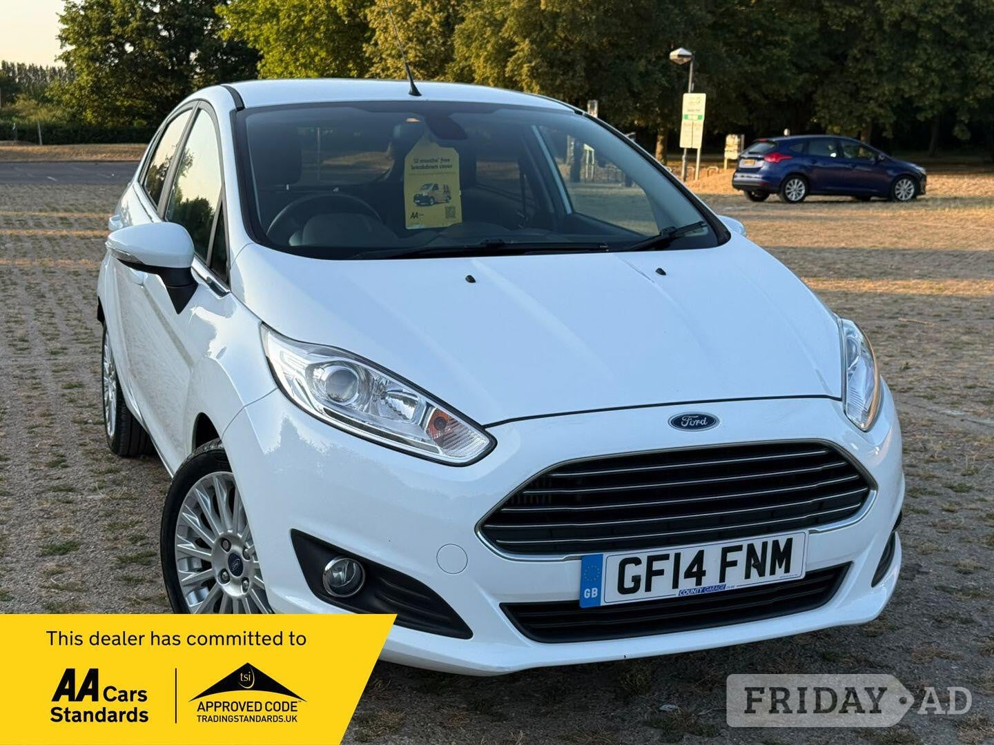 Ford Fiesta 2014 in Swanley