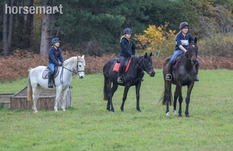 "Penelopee" Fleabitten Grey Mare All Rounder
