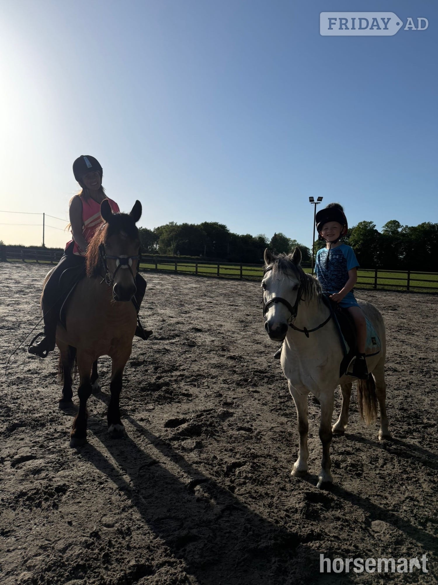 Wigan "Popeye" Grey Gelding Lead Rein/First Ridden Pony