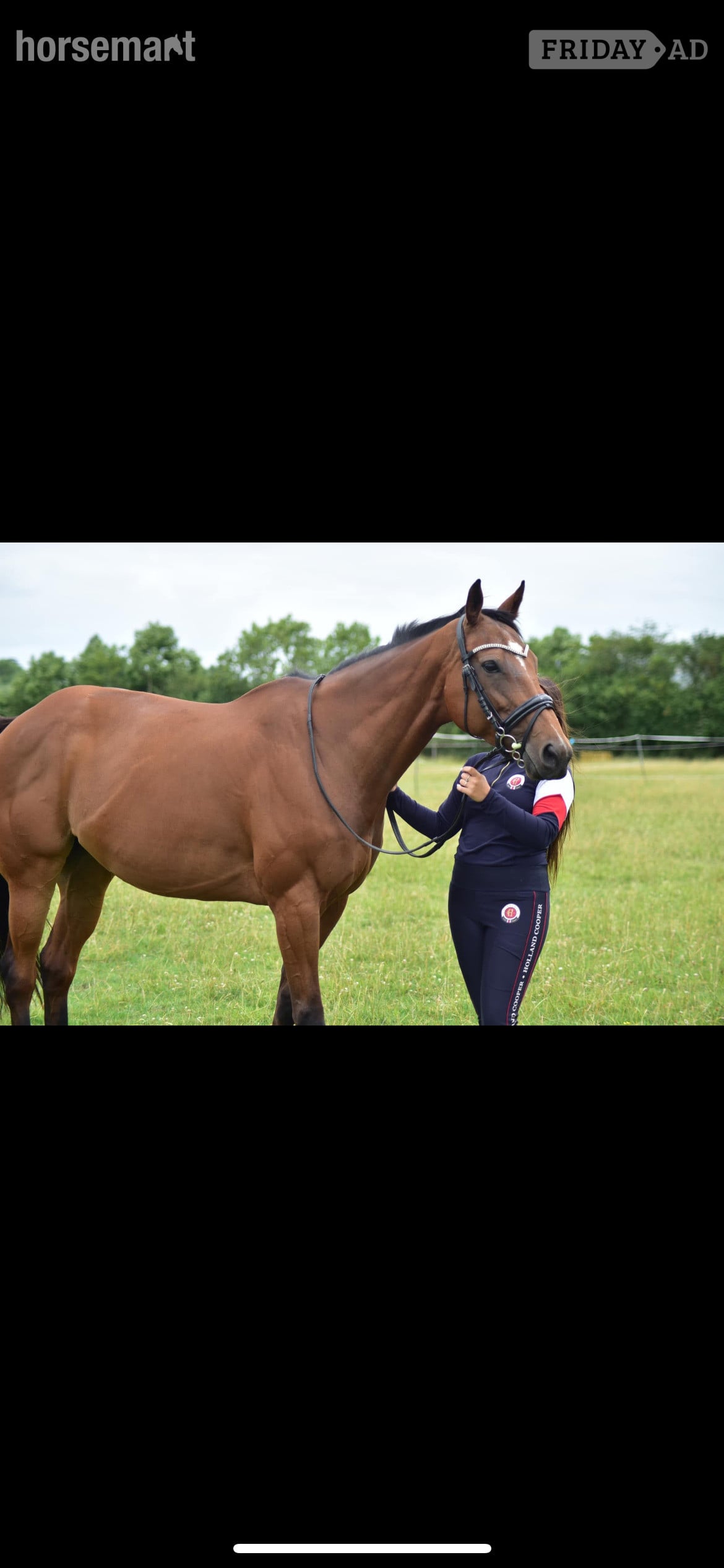 "Ronoccos Katie " Bay Mare All Rounder in Tewkesbury