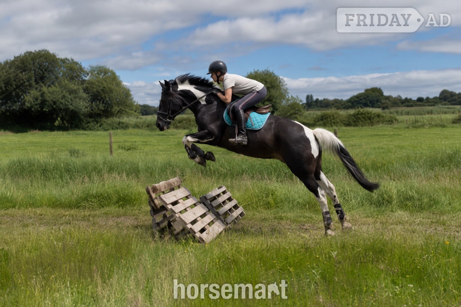 "Brooklyn Aurora " Piebald Mare All Rounder in Cardiff