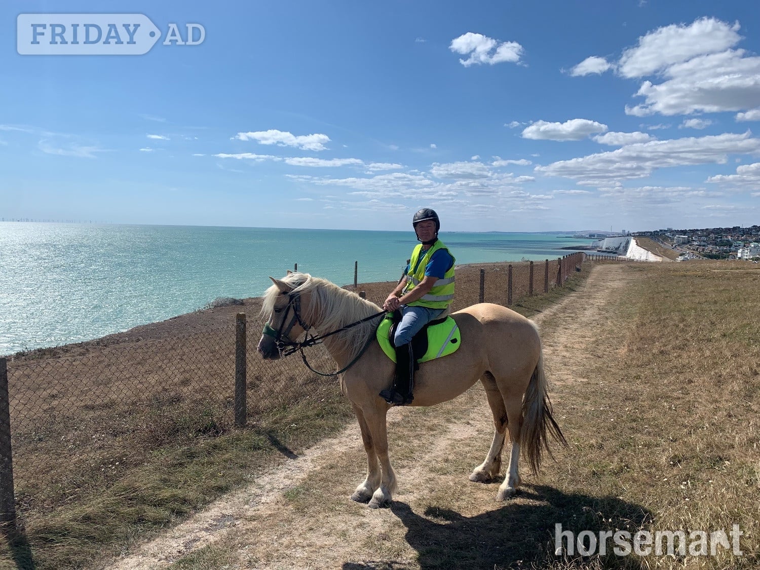 "Savannah" Palomino Mare All Rounder in Brighton