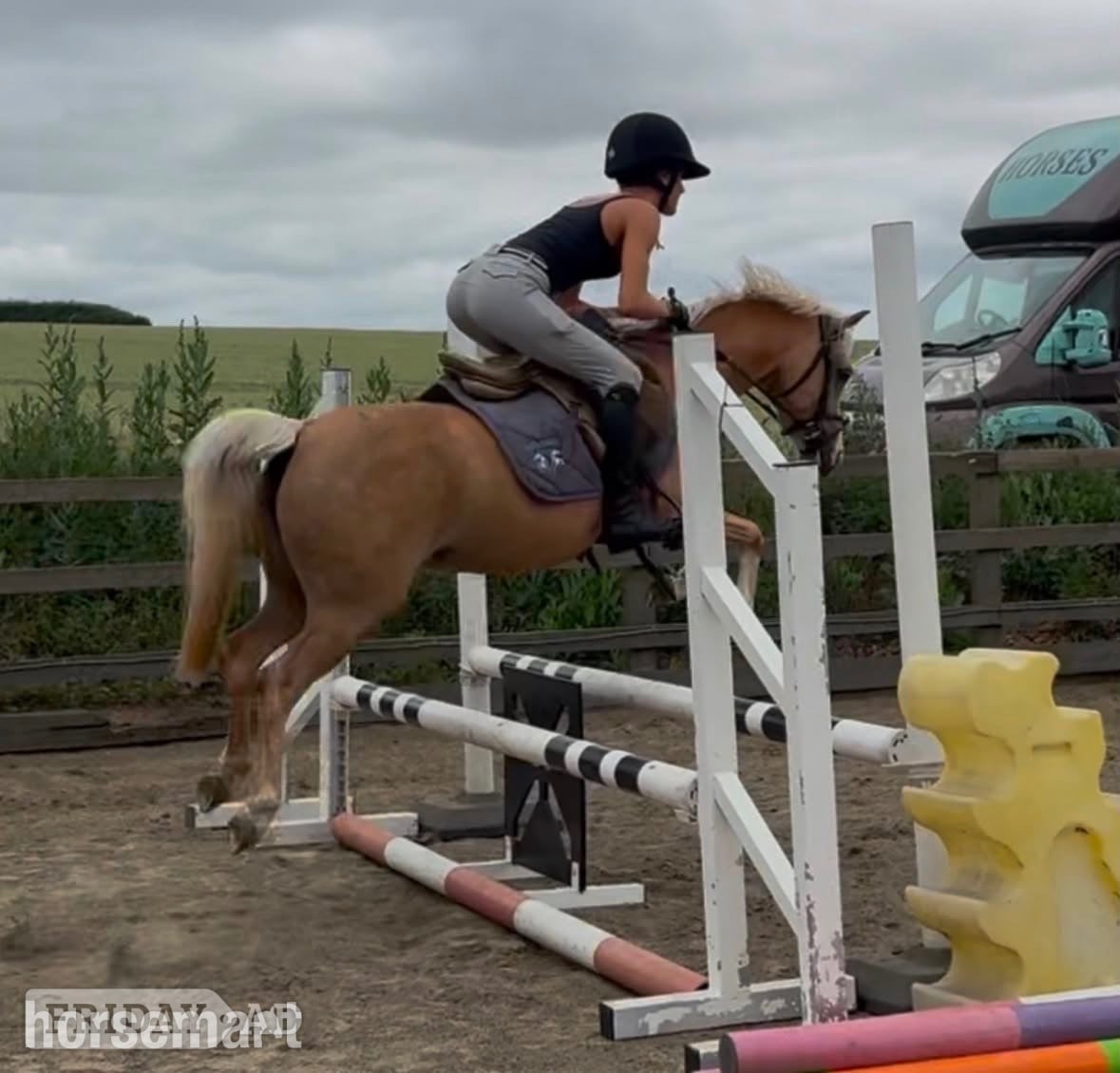 "Lottie" Palomino Mare Mountain & Moorland Pony - Horses in Chelmsford