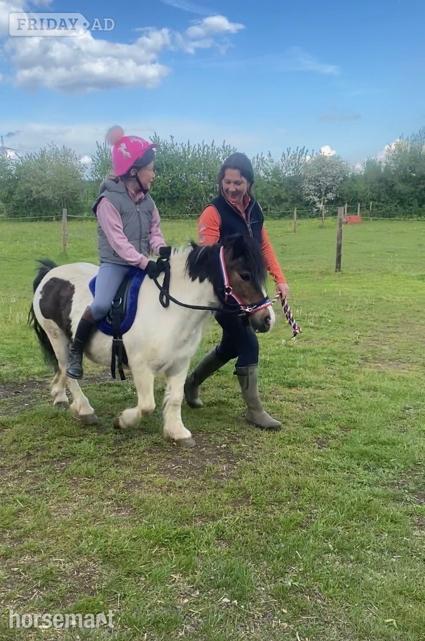 "Juliet " Skewbald Mare Lead Rein/First Ridden Pony