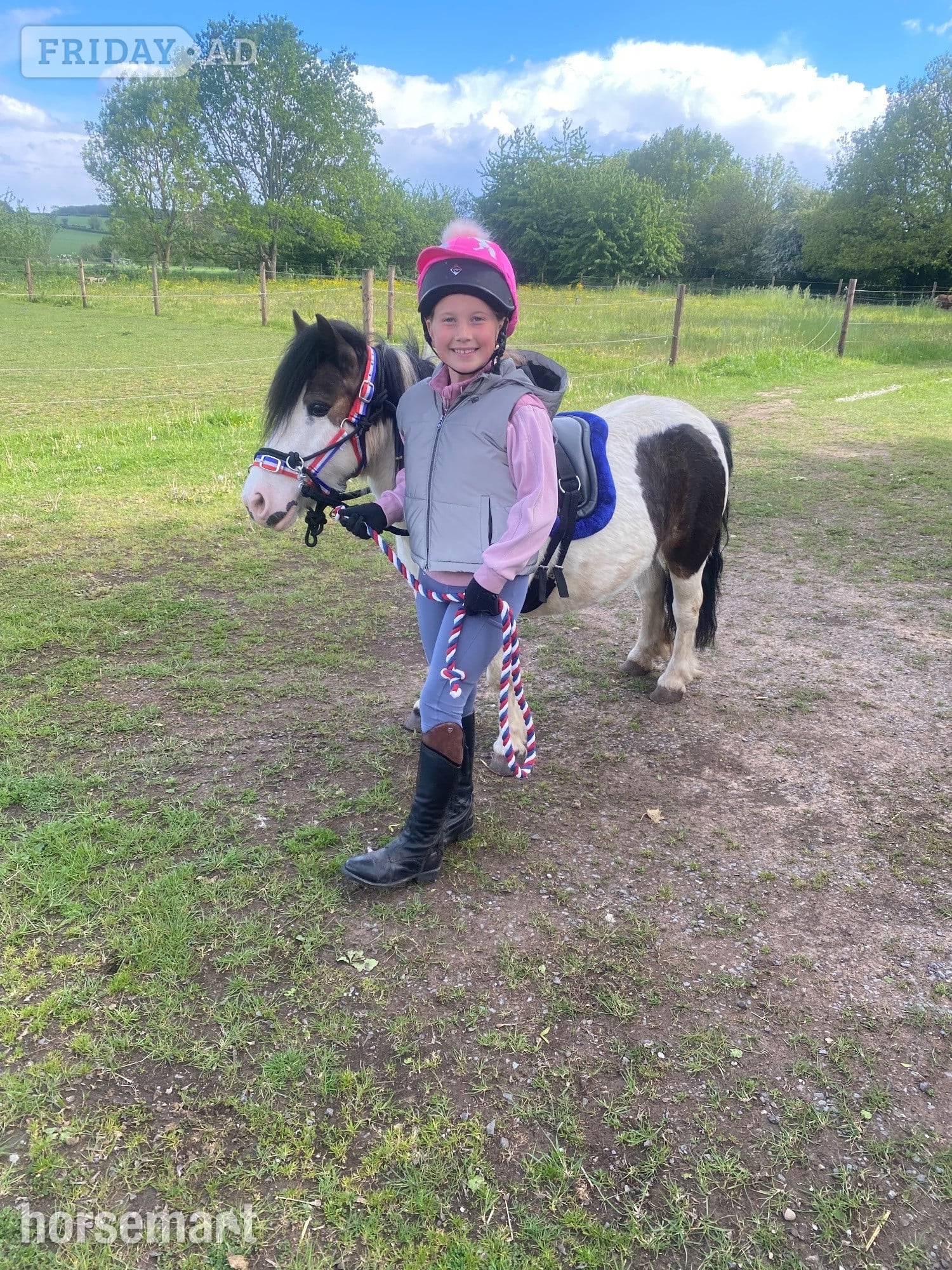 "Juliet " Skewbald Mare Lead Rein/First Ridden Pony - Horses in Ollerton
