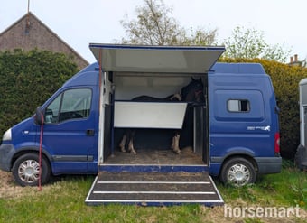 Equi-Sport Movano Vauxhall Horsebox