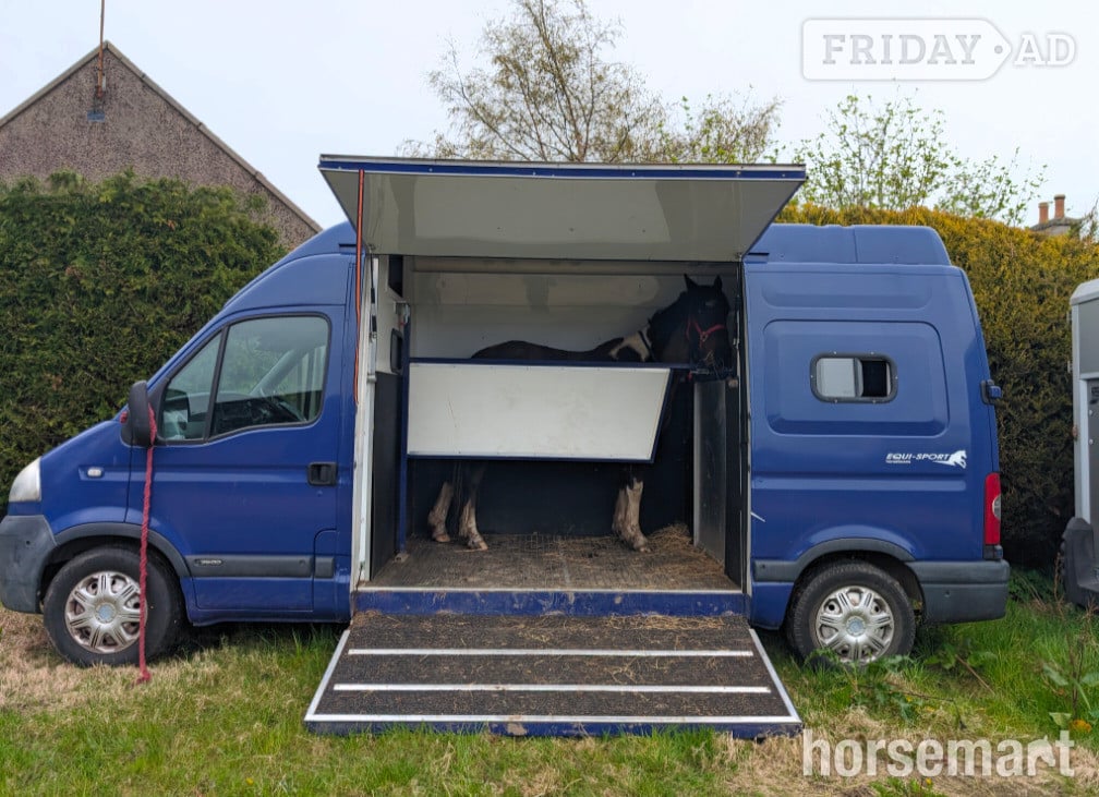 Equi-Sport Movano Vauxhall Horsebox in Aberdeen