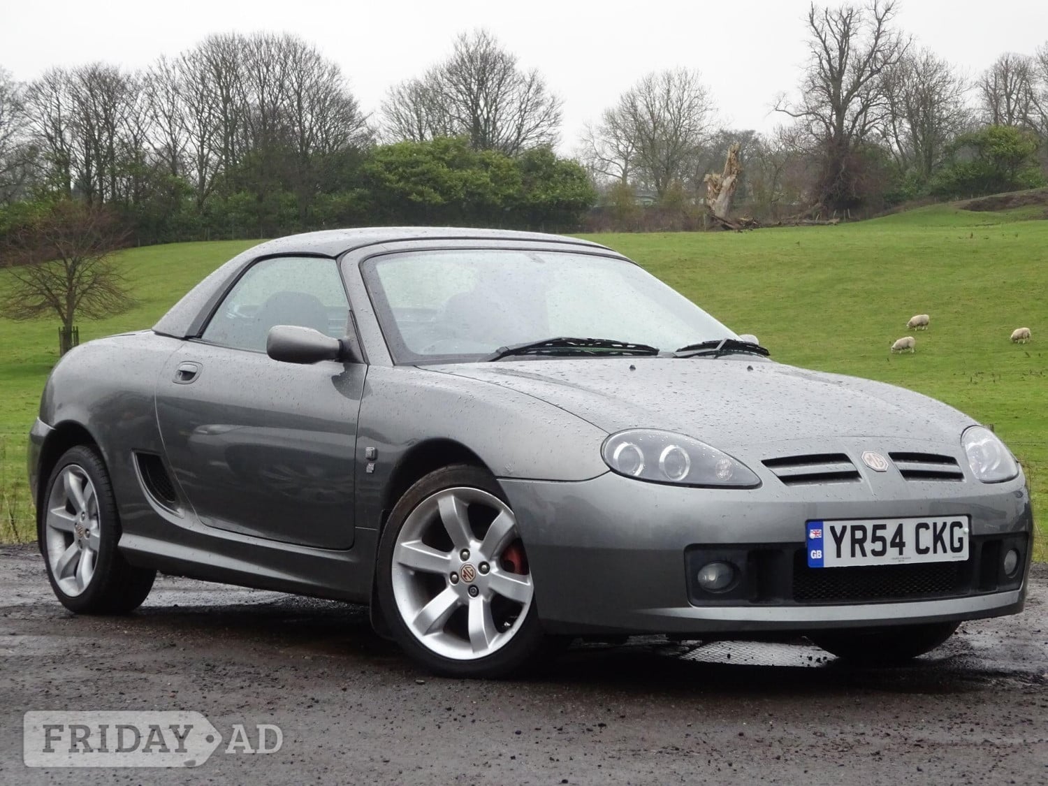 MG TF 2004 - Cars