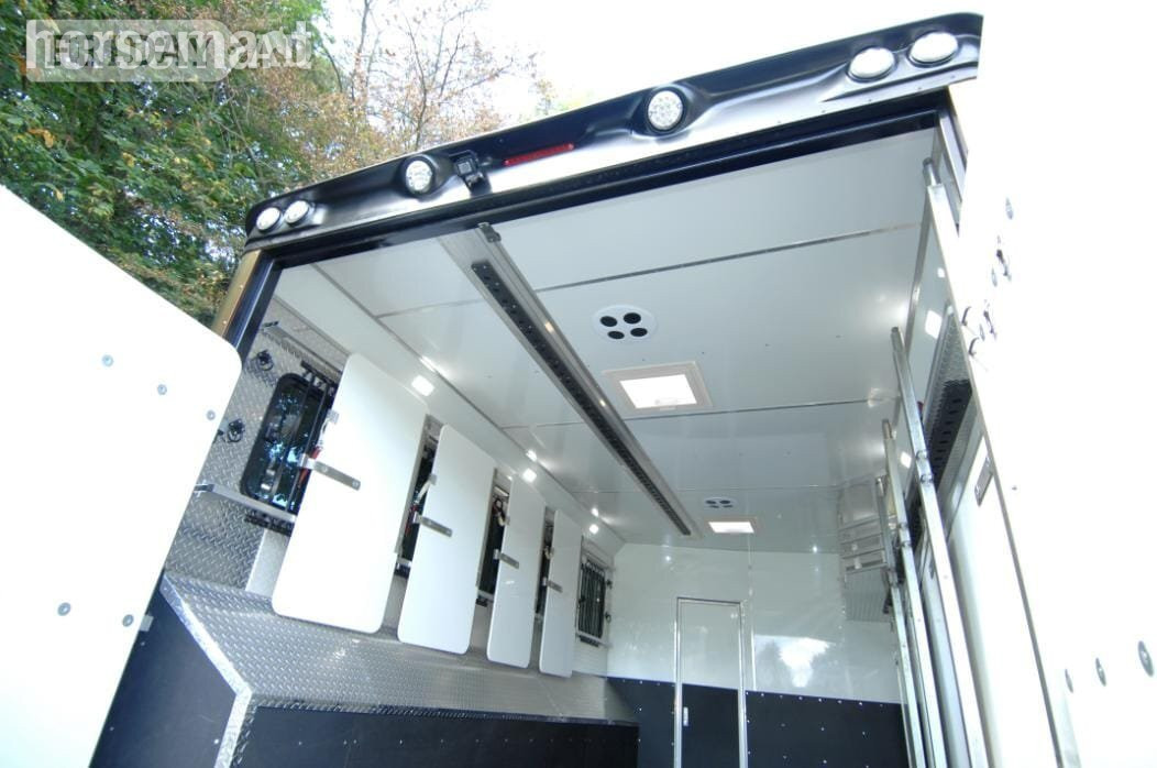 Equine Quality P230 Scania Horsebox - Trailers & Horseboxes in Uckfield