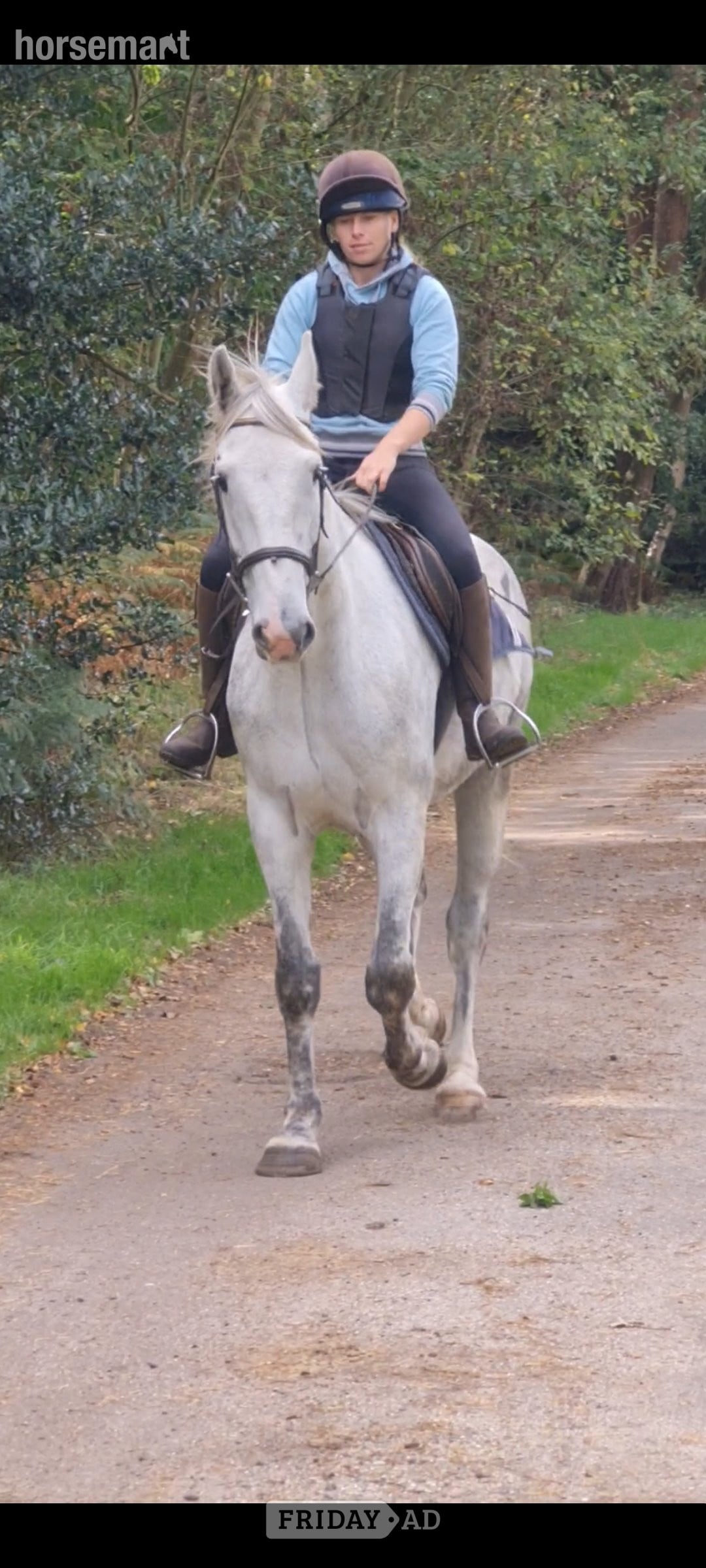 "Silver" Grey Gelding All Rounder in King's Lynn