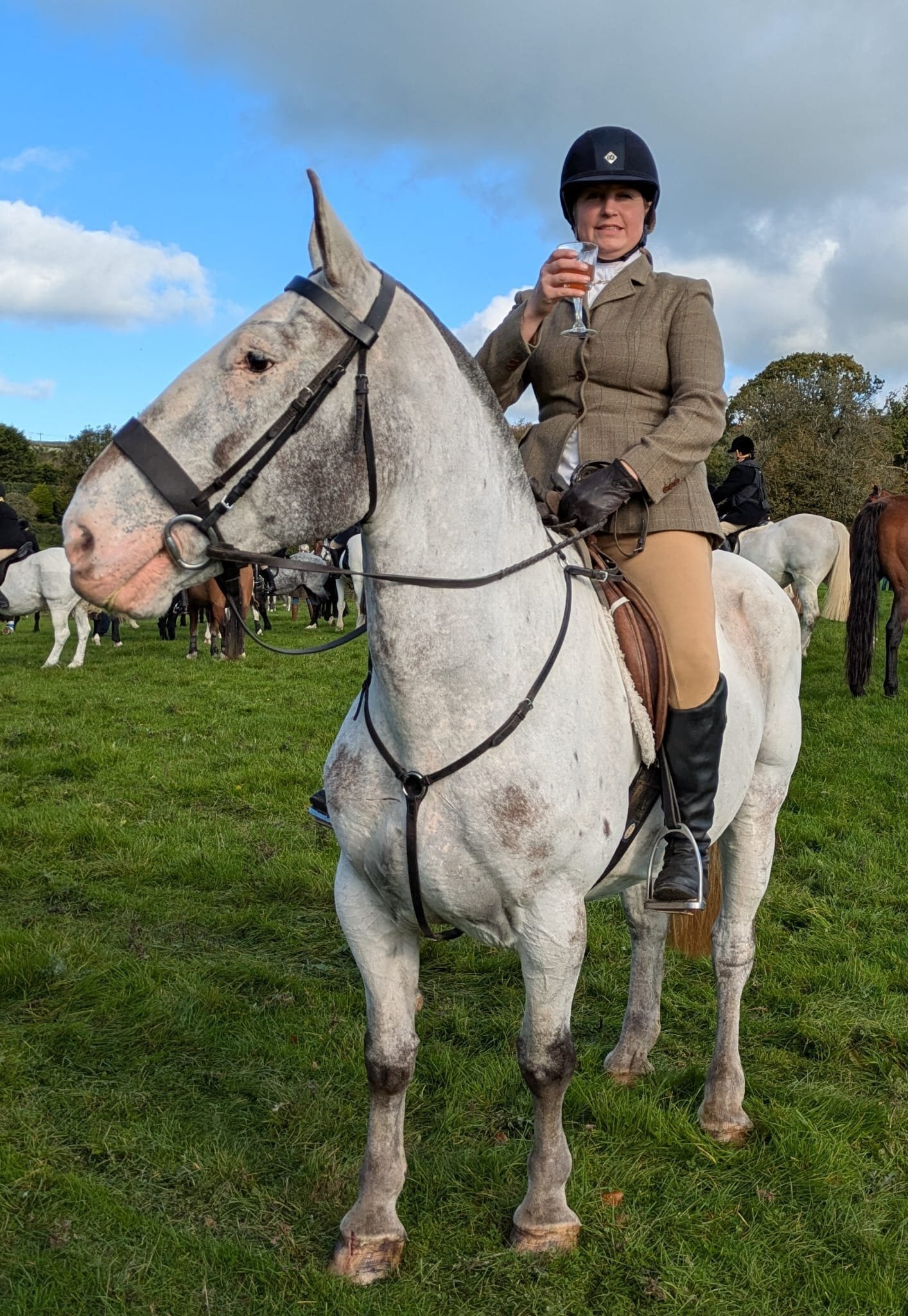 "Rosi"  Mare Cob/Heavy Horse