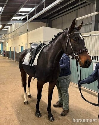 Ex racer companion or project full loan