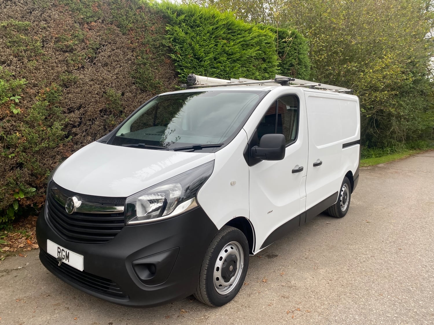Vauxhall Vivaro 2017 - Vans & Commercial Vehicles in Heathfield