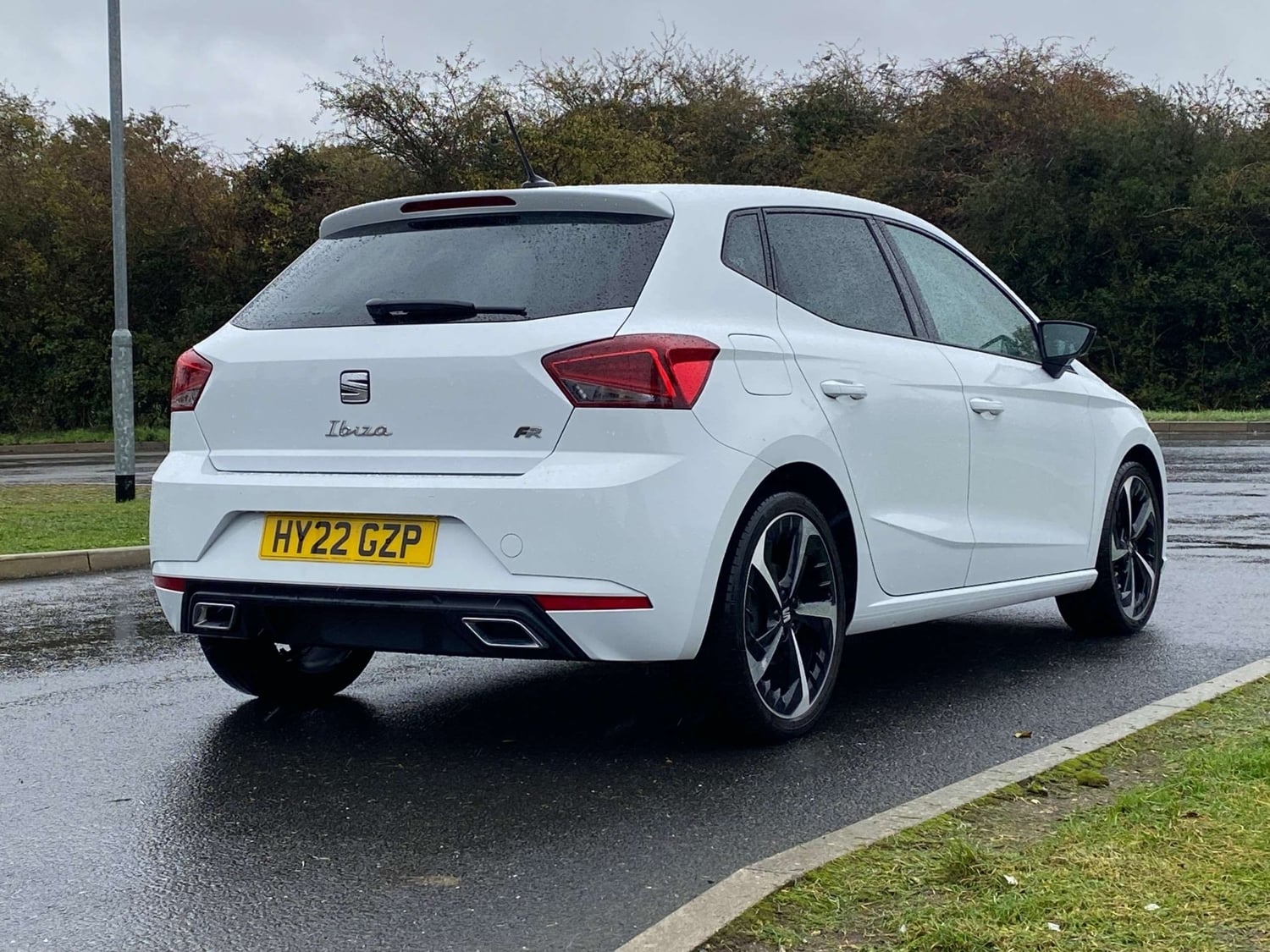 SEAT Ibiza Storrington