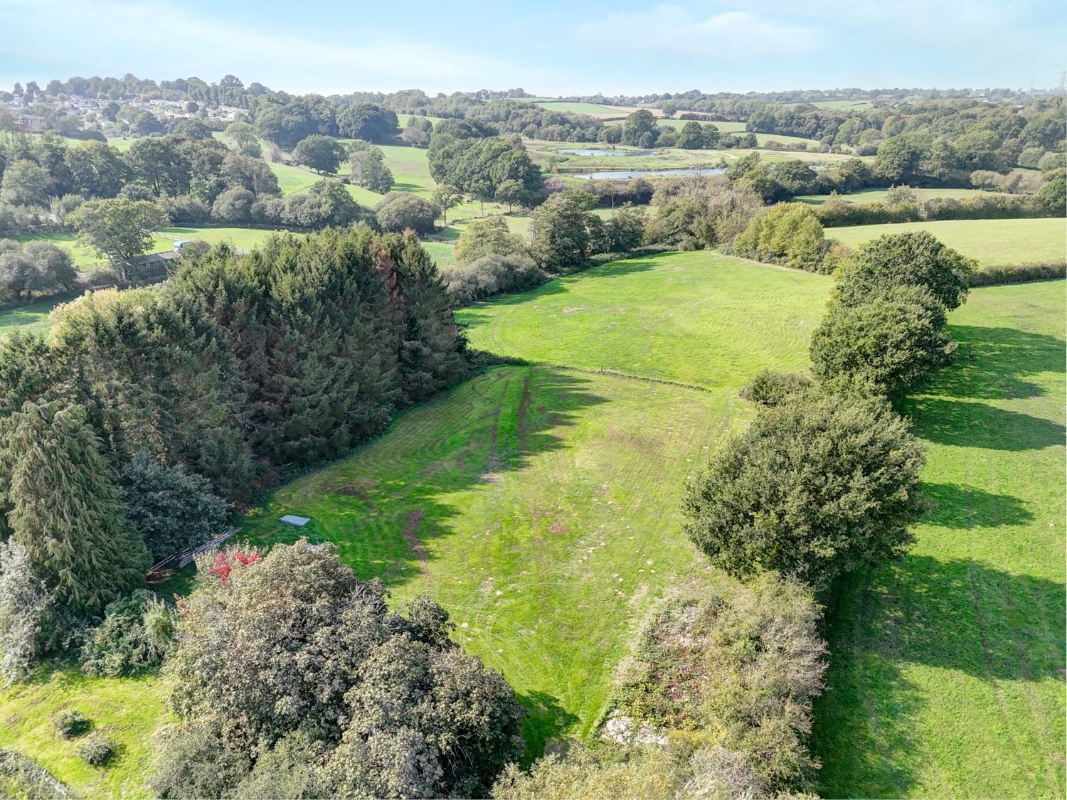 Bodle Street Green House Property for sale in Bodle Street Green