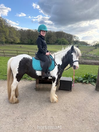 "Ella" Piebald Mare Cob/Heavy Horse